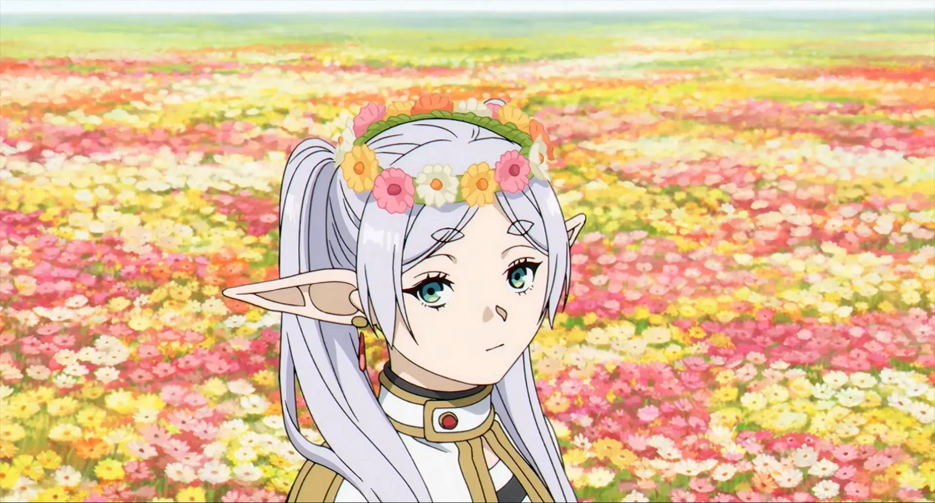 Frieren flower field